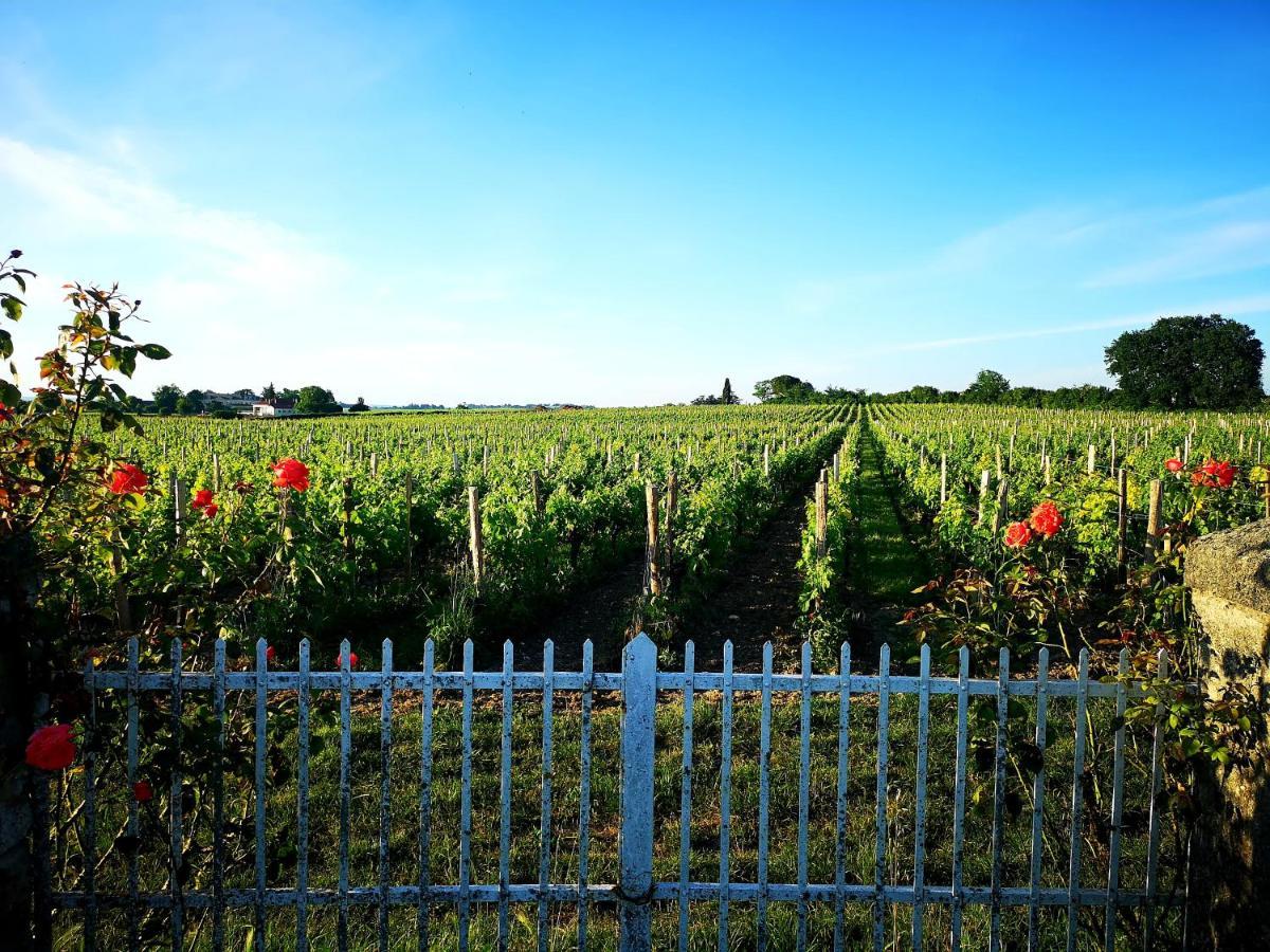 La Maison Des Vignes Saint Emilion Εξωτερικό φωτογραφία